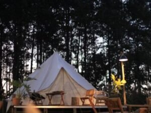 glamping, camping, tent-6490987.jpg